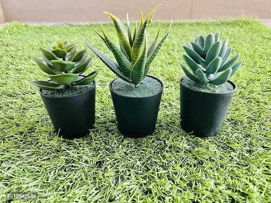 Chitra_Artificial Succulent Plants with Plastic Pot (Black Pot) (Pack of 1)-thumb3