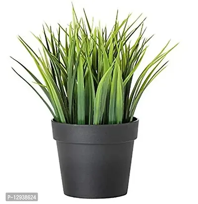 Artificial Potted Plant Wheat Leafs with Plastic Pot - (Green-1 Piece)