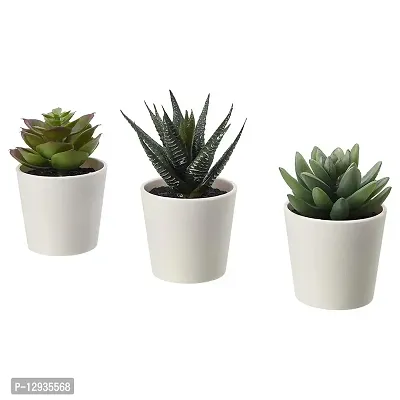 Artificial Potted Plant with Pot, in/Outdoor Succulent (3)