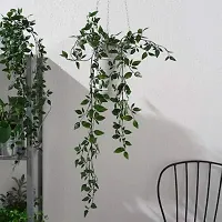 Ikea TSSP Artificial Potted Hanging Plant, Indoor/Outdoor (Green, 9 cm, 3)-thumb2