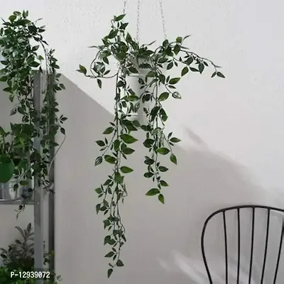 Ikea TSSP Artificial Potted Hanging Plant, Indoor/Outdoor (Green, 9 cm, 3)-thumb3