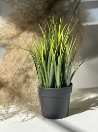 Chitra_Artificial Wheat Grass Plant ( Green) (Pack of 1)-thumb4