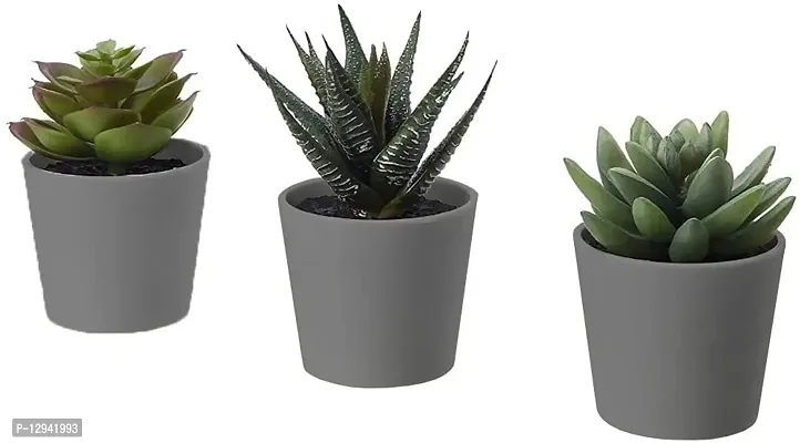 Chitra_Artificial Succulent Plants with Plastic Pot (Gray Pot) (Pack of 1)