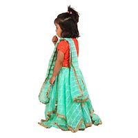 Orange Sequence Choli With Green Lehenga-thumb2