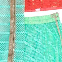 Orange Sequence Choli With Green Lehenga-thumb3