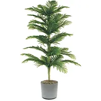 PMK E Store Christmas Tree Live Plant-thumb3