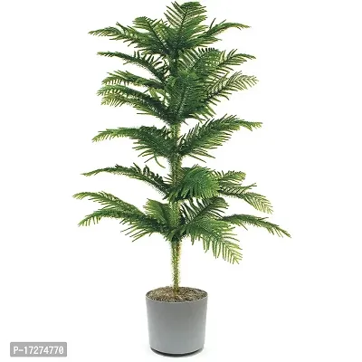 PMK E Store Christmas Tree Live Plant-thumb4