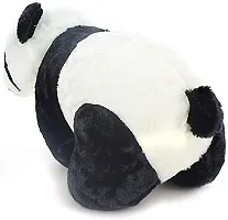 The Trends Cute Little Panda Stuffed Soft Pluse Toy for Kids/Birthday Gift-thumb3