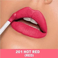 Liquid Matte Lipstick SB-302 01-thumb1