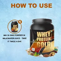 Nutriley Whey Protein Gold Powder Nutritional Supplement, Muscle Protein, Muscle Gainer, Body Gainer Protein, Muscle Gainer Protein, Whey Protein, Whey Protein Supplement 500 G Mango Flavour-thumb1