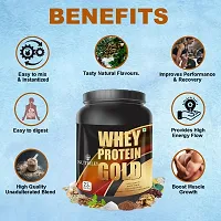 Nutriley Whey Protein Gold Powder Nutritional Supplement, Muscle Protein, Muscle Gainer, Body Gainer Protein, Muscle Gainer Protein, Whey Protein, Whey Protein Supplement 500 G Mango Flavour-thumb4
