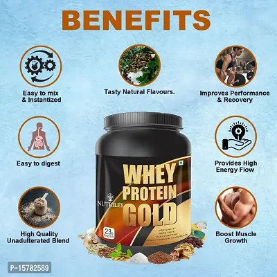 Nutriley Whey Protein Gold Powder Nutritional Supplement, Muscle Protein, Muscle Gainer, Body Gainer Protein, Muscle Gainer Protein, Whey Protein, Whey Protein Supplement 500 G Mango Flavour-thumb5
