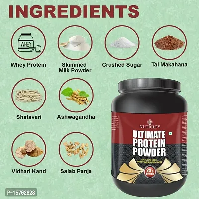 Buy Nutriley Utimate Protein Powder, Ultimate Whey Protein Powder ...