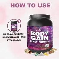 Nutriley Body Gain - Body Weight Muscle Fit | Increase Body Strength | Ayurvedic Product | Weight Gainer Powder for Women | Muscle Growth | Weight Gainer- 500 G American Ice Cream Flavour-thumb1