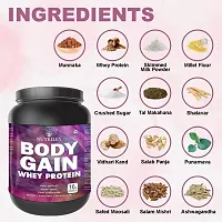 Nutriley Body Gain - Body Weight Muscle Fit | Increase Body Strength | Ayurvedic Product | Weight Gainer Powder for Women | Muscle Growth | Weight Gainer- 500 G American Ice Cream Flavour-thumb2