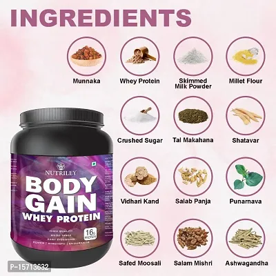 Nutriley Body Gain - Body Weight Muscle Fit | Increase Body Strength | Ayurvedic Product | Weight Gainer Powder for Women | Muscle Growth | Weight Gainer- 500 G American Ice Cream Flavour-thumb3