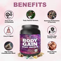Nutriley Body Gain - Body Weight Muscle Fit | Increase Body Strength | Ayurvedic Product | Weight Gainer Powder for Women | Muscle Growth | Weight Gainer- 500 G American Ice Cream Flavour-thumb4