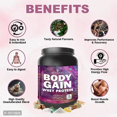 Nutriley Body Gain - Body Weight Muscle Fit | Increase Body Strength | Ayurvedic Product | Weight Gainer Powder for Women | Muscle Growth | Weight Gainer- 500 G American Ice Cream Flavour-thumb5