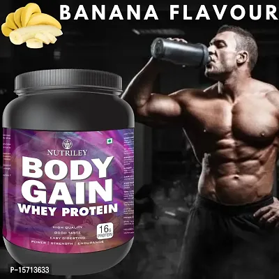 Nutriley Body Gain - Body Weight Muscle Fit | Increase Body Strength | Ayurvedic Product | Weight Gainer Powder for Women | Muscle Growth | Weight Gainer- 500 G  Banana Flavour