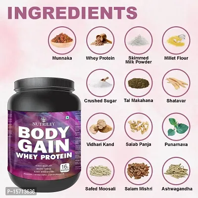 Nutriley Body Gain - Body Weight Muscle Fit | Increase Body Strength | Ayurvedic Product | Weight Gainer Powder for Women | Muscle Growth | Weight Gainer- 500 G  Kesar Pista Badam Flavour-thumb3