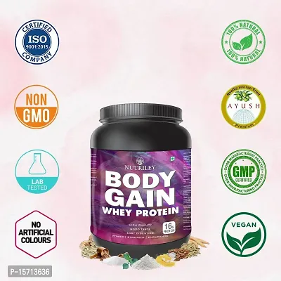 Nutriley Body Gain - Body Weight Muscle Fit | Increase Body Strength | Ayurvedic Product | Weight Gainer Powder for Women | Muscle Growth | Weight Gainer- 500 G  Kesar Pista Badam Flavour-thumb4