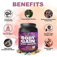 Nutriley Body Gain - Body Weight Muscle Fit | Increase Body Strength | Ayurvedic Product | Weight Gainer Powder for Women | Muscle Growth | Weight Gainer- 500 G Mango Flavour-thumb1