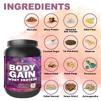 Nutriley Body Gain - Body Weight Muscle Fit | Increase Body Strength | Ayurvedic Product | Weight Gainer Powder for Women | Muscle Growth | Weight Gainer- 500 G Mango Flavour-thumb2