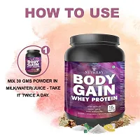 Nutriley Body Gain - Body Weight Muscle Fit | Increase Body Strength | Ayurvedic Product | Weight Gainer Powder for Women | Muscle Growth | Weight Gainer- 500 G Mango Flavour-thumb3