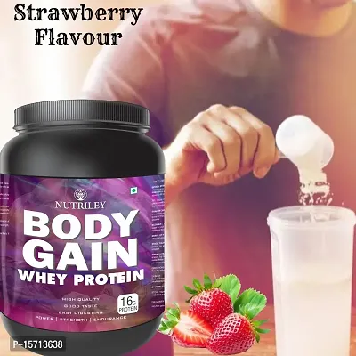 Nutriley Body Gain - Body Weight Muscle Fit | Increase Body Strength | Ayurvedic Product | Weight Gainer Powder for Women | Muscle Growth | Weight Gainer- 500 G  Strawberry Flavour