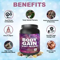 Nutriley Body Gain - Body Weight / Muscle Gainer Whey Protein Supplement Muscle Power | Body Gain Muscle Mass | Proteins | Muscle Gainer | Increase Body Strength | Muscle Gainer Elachi Flavour 1 KG-thumb1
