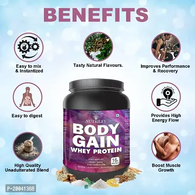 Nutriley Body Gain - Body Weight / Muscle Gainer Whey Protein Supplement Muscle Power | Body Gain Muscle Mass | Proteins | Muscle Gainer | Increase Body Strength | Muscle Gainer Elachi Flavour 1 KG-thumb2