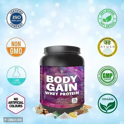 Nutriley Body Gain - Body Weight / Muscle Gainer Whey Protein Supplement Muscle Power | Body Gain Muscle Mass | Proteins | Muscle Gainer | Increase Body Strength | Muscle Gainer Elachi Flavour 1 KG-thumb3