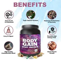 Nutriley Body Gain - Body Weight / Muscle Gainer Whey Protein Supplement Muscle Power | Body Gain Muscle Mass | Proteins | Muscle Gainer | Increase Body Strength | Muscle Gainer Vanilla Flavour 1 KG-thumb2