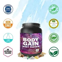 Nutriley Body Gain - Body Weight / Muscle Gainer Whey Protein Supplement Muscle Power | Body Gain Muscle Mass | Proteins | Muscle Gainer | Increase Body Strength | Muscle Gainer Vanilla Flavour 1 KG-thumb1