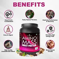 Nutriley Amino Mass - Body Weight / Muscle Gainer Whey Protein Supplement, Muscle Power | Body Gain Muscle Mass | Weight Gain Supplement | Proteins | Muscle Gainer Vanilla Flavour 1 KG-thumb2