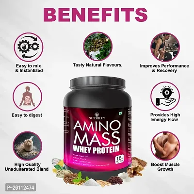 Nutriley Amino Mass - Body Weight / Muscle Gainer Whey Protein Supplement, Muscle Power | Body Gain Muscle Mass | Weight Gain Supplement | Proteins | Muscle Gainer Vanilla Flavour 1 KG-thumb3