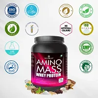 Nutriley Amino Mass - Body Weight / Muscle Gainer Whey Protein Supplement, Muscle Power | Body Gain Muscle Mass | Weight Gain Supplement | Proteins | Muscle Gainer Vanilla Flavour 1 KG-thumb3