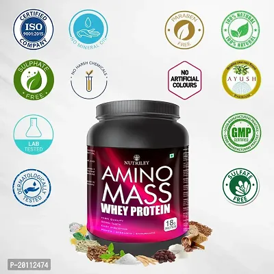Nutriley Amino Mass - Body Weight / Muscle Gainer Whey Protein Supplement, Muscle Power | Body Gain Muscle Mass | Weight Gain Supplement | Proteins | Muscle Gainer Vanilla Flavour 1 KG-thumb4