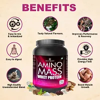 Nutriley Amino Mass - Body Weight / Muscle Gainer Whey Protein Supplement, Muscle Power | Body Gain Muscle Mass | Weight Gain Supplement | Proteins | Muscle Gainer Strawberry Flavour 1 KG-thumb4