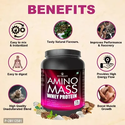 Nutriley Amino Mass - Body Weight / Muscle Gainer Whey Protein Supplement, Muscle Power | Body Gain Muscle Mass | Weight Gain Supplement | Proteins | Muscle Gainer Strawberry Flavour 1 KG-thumb5