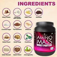 Nutriley Amino Mass - Body Weight / Muscle Gainer Whey Protein Supplement, Muscle Power | Body Gain Muscle Mass | Weight Gain Supplement | Proteins | Muscle Gainer Strawberry Flavour 1 KG-thumb1