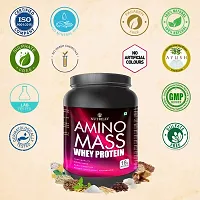 Nutriley Amino Mass - Body Weight / Muscle Gainer Whey Protein Supplement, Muscle Power | Body Gain Muscle Mass | Weight Gain Supplement | Proteins | Muscle Gainer Strawberry Flavour 1 KG-thumb2