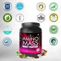 Nutriley Amino Mass - Body Weight / Muscle Gainer Whey Protein Supplement, Muscle Power | Body Gain Muscle Mass | Weight Gain Supplement | Proteins | Muscle Gainer Mango Flavour 1 KG-thumb2