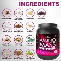Nutriley Amino Mass - Body Weight / Muscle Gainer Whey Protein Supplement, Muscle Power | Body Gain Muscle Mass | Weight Gain Supplement | Proteins | Muscle Gainer Mango Flavour 1 KG-thumb4