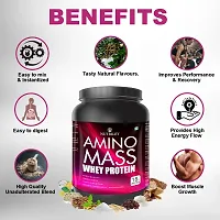 Nutriley Amino Mass - Body Weight / Muscle Gainer Whey Protein Supplement, Muscle Power | Body Gain Muscle Mass | Weight Gain Supplement | Proteins | Muscle Gainer Mango Flavour 1 KG-thumb1