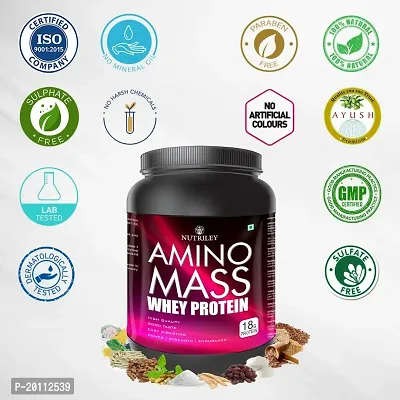 Nutriley Amino Mass - Body Weight / Muscle Gainer Whey Protein Supplement, Muscle Power | Body Gain Muscle Mass | Weight Gain Supplement | Proteins | Muscle Gainer Elachi Flavour 1 KG-thumb2