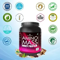 Nutriley Amino Mass - Body Weight / Muscle Gainer Whey Protein Supplement, Muscle Power | Body Gain Muscle Mass | Weight Gain Supplement | Proteins | Muscle Gainer Chocolate Flavour 1 KG-thumb4