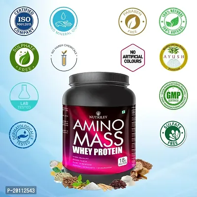 Nutriley Amino Mass - Body Weight / Muscle Gainer Whey Protein Supplement, Muscle Power | Body Gain Muscle Mass | Weight Gain Supplement | Proteins | Muscle Gainer Chocolate Flavour 1 KG-thumb5