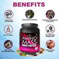 Nutriley Amino Mass - Body Weight / Muscle Gainer Whey Protein Supplement, Muscle Power | Body Gain Muscle Mass | Weight Gain Supplement | Proteins | Muscle Gainer Chocolate Flavour 1 KG-thumb2