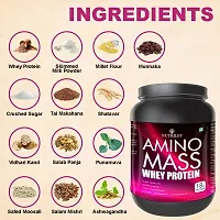 Nutriley Amino Mass - Body Weight / Muscle Gainer Whey Protein Supplement, Muscle Power | Body Gain Muscle Mass | Weight Gain Supplement | Proteins | Muscle Gainer American Ice Cream Flavour 1 KG-thumb3